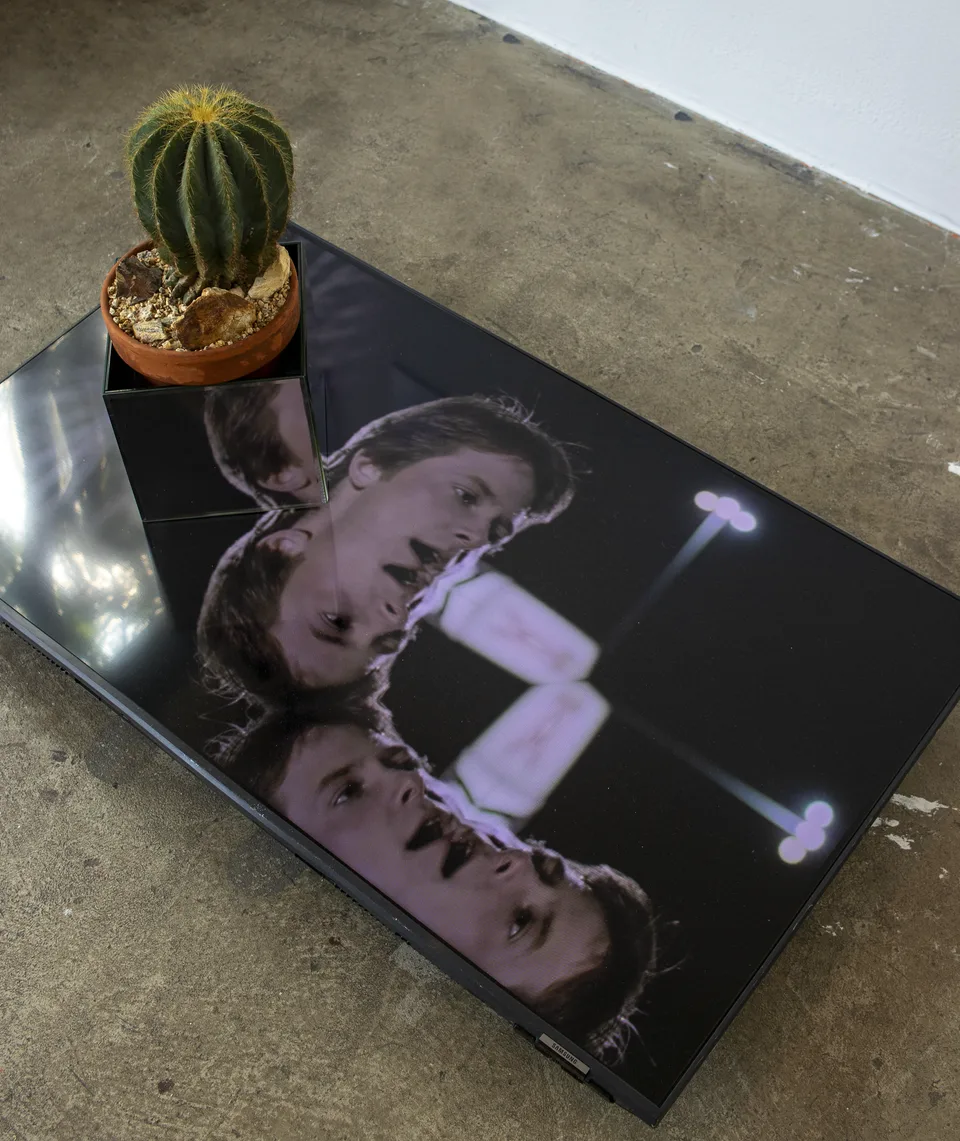 A potted cactus in a mirrored cube rests on a flat screen showing repeated, reflected film imagery.