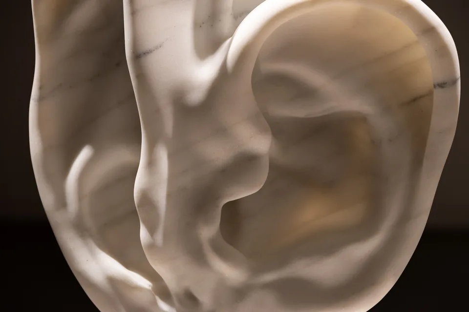 A close detail of smooth folds and gray veining in the marble ear sculpture.