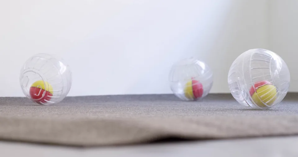 Three transparent hamster balls containing smaller yellow and red balls