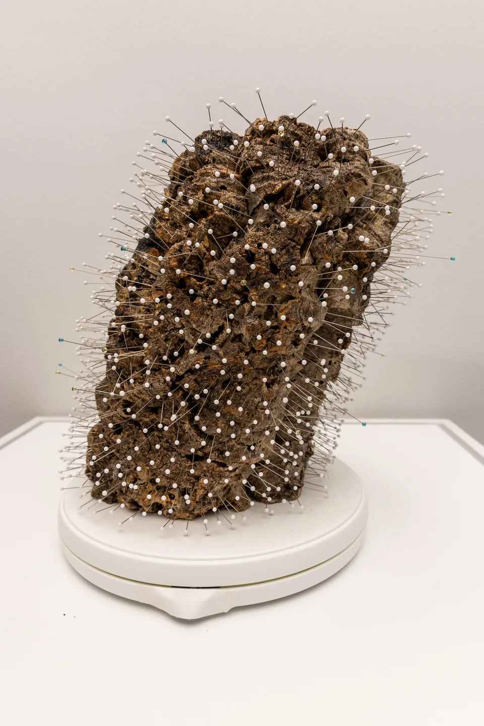 Alternate side view of the pin-covered cork form on its circular white base.