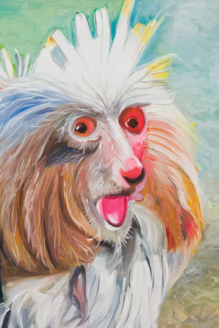 Detail of a painted bird-like head with pale feathers and vivid red facial forms.